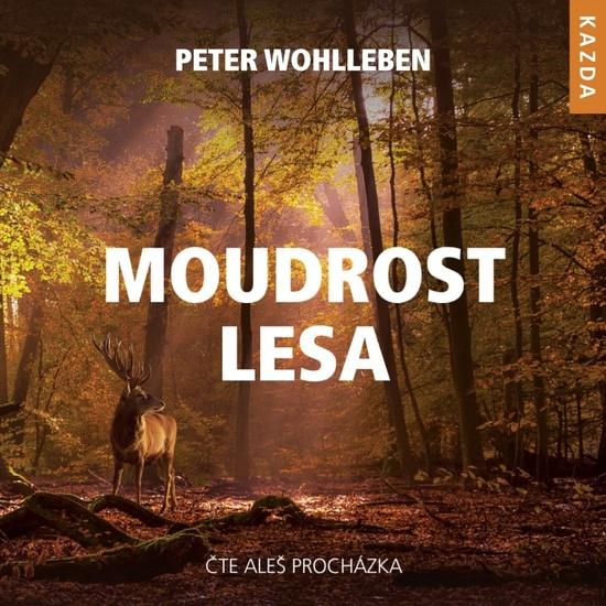 Levně Moudrost lesa