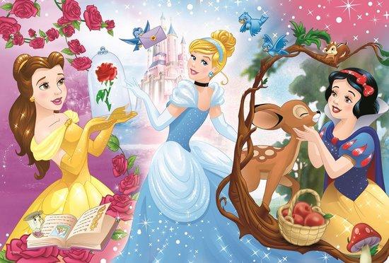 Puzzle Disney princezny Pozvání na bál - 17315