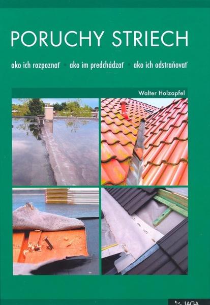 Poruchy striech - 978-80-8076-061-8