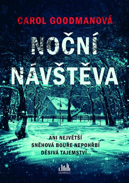 Noční návštěva - 978-80-271-2282-0