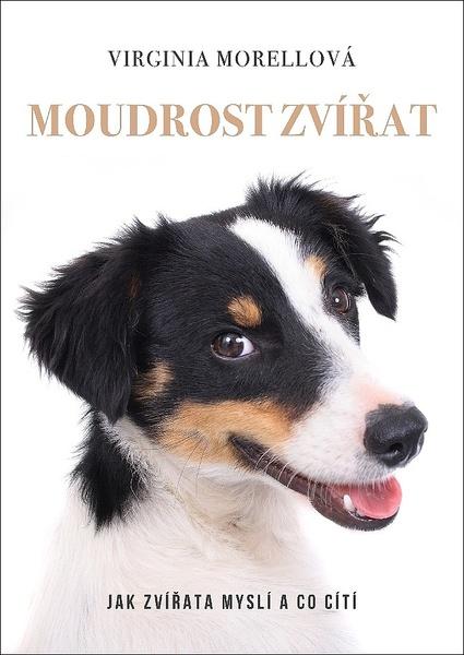 Moudrost zvířat - 978-80-7597-623-9