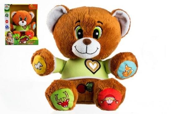 Levně Teddies Mluvící medvídek Vojtík