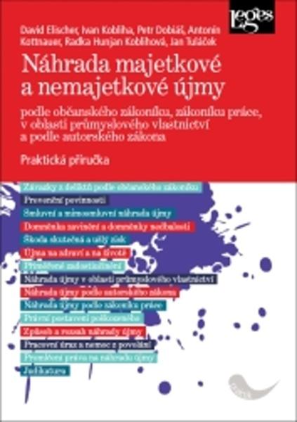 Náhrada majetkové a nemajetkové újmy - 978-80-7502-382-7