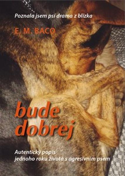 Bude dobrej - 978-80-907394-1-3