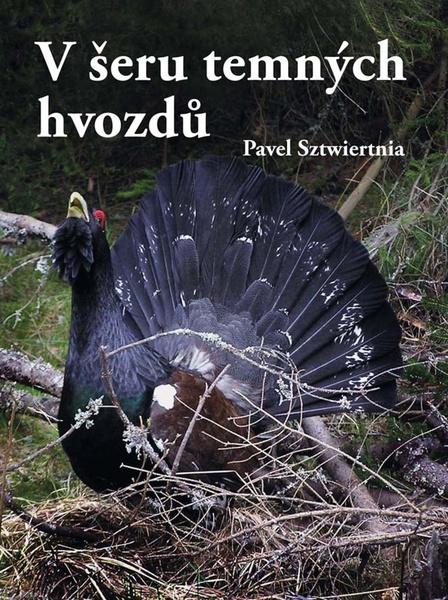 Levně V šeru temných hvozdů