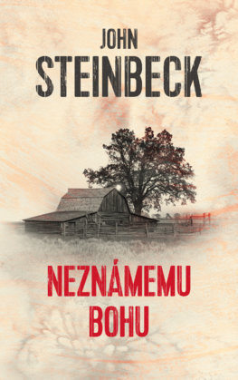 Neznámemu bohu - 978-80-556-4485-1