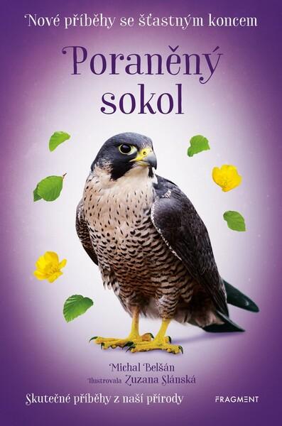 Poraněný sokol - 978-80-253-4716-4