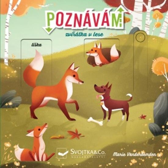 Poznávám zvírátka v lese - 978-80-256-2816-4