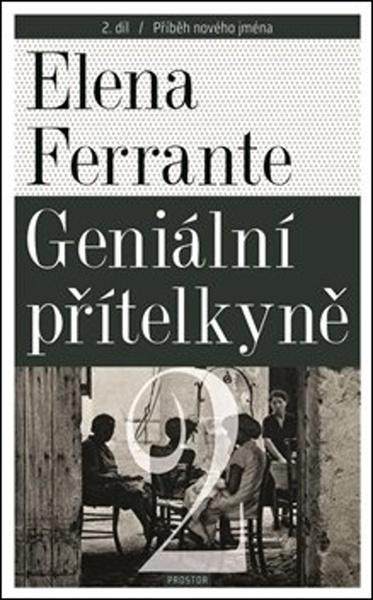 Geniální přítelkyně 2 - 978-80-7260-453-1