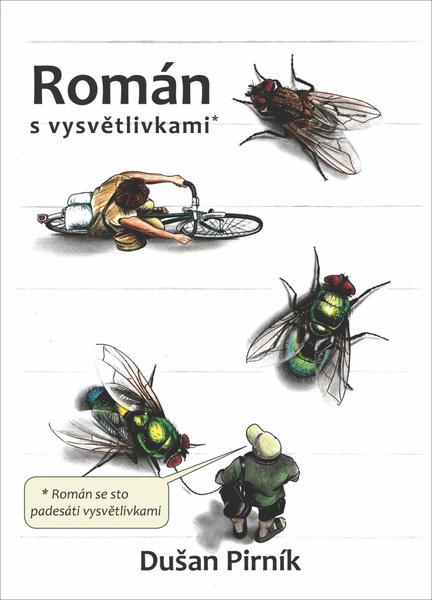 Levně Román s vysvětlivkami