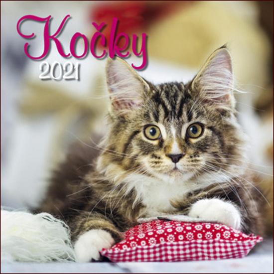 Kočky 2021 - nástěnný kalendář