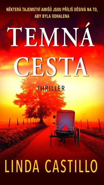Temná cesta - 978-80-243-9430-5
