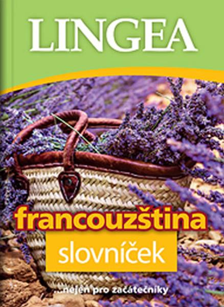 Francouzština slovníček - 978-80-7508-451-4