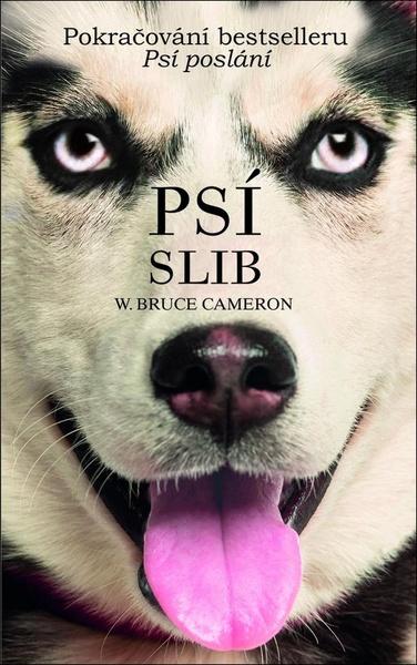 Psí slib - 978-80-249-4263-6