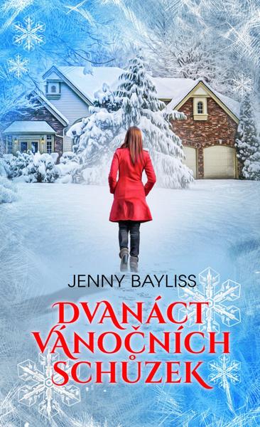 Dvanáct vánočních schůzek - 978-80-269-1438-9