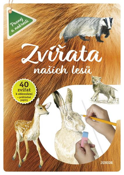Zvířata našich lesů - 978-80-7267-720-7