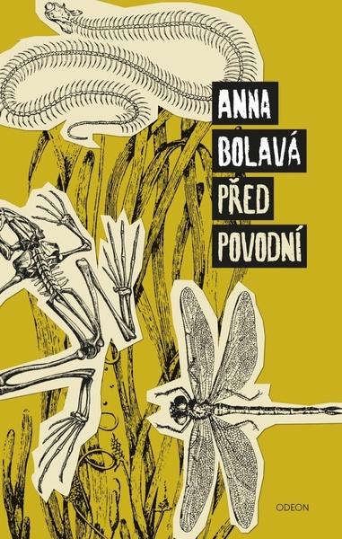 Před povodní - 978-80-207-1979-9