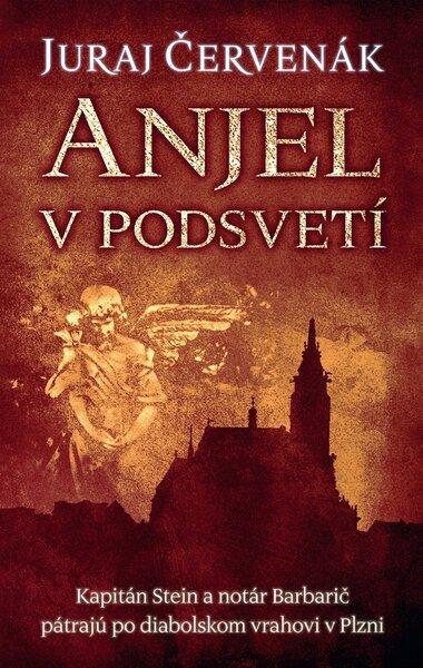 Anjel v podsvetí - 9788055648361