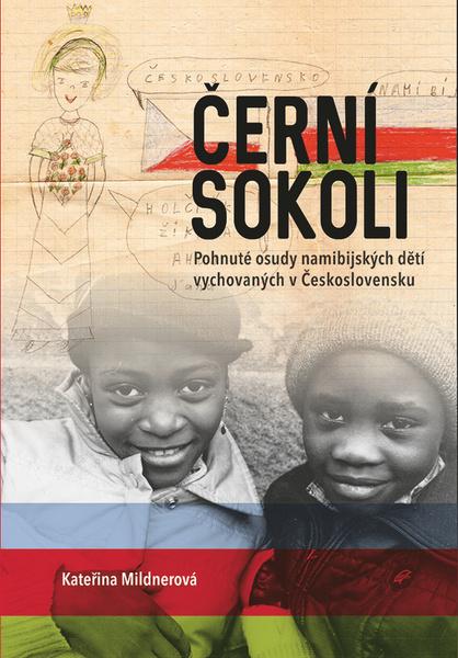 Levně Černí sokoli