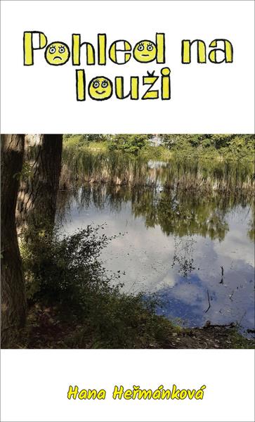 Levně Pohled na louži