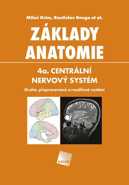 Levně Základy anatomie 4a.