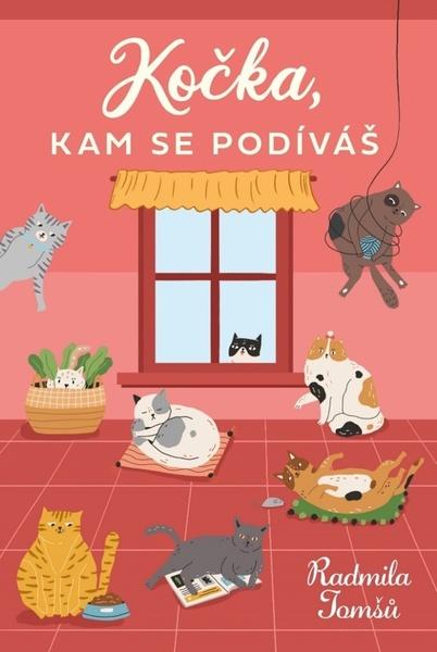 Levně Kočka, kam se podíváš