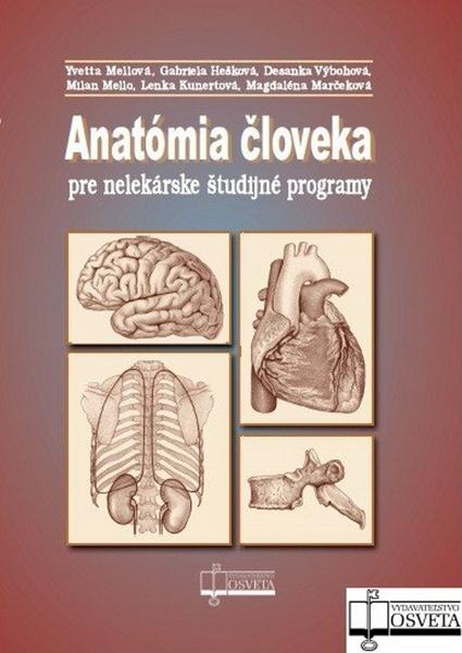 Anatómia človeka pre nelekárske študijné programy - 978-80-8063-335-6