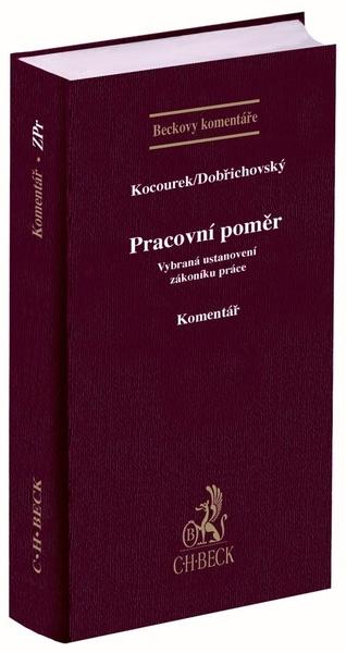 Pracovní poměr - 978-80-7400-809-2