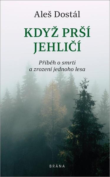 Když prší jehličí - 978-80-242-6747-0