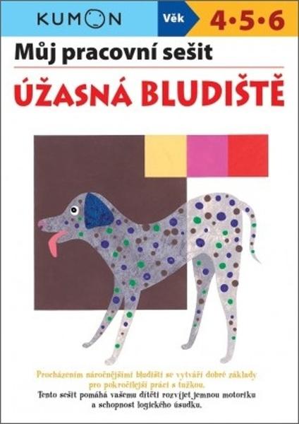 Levně Můj pracovní sešit Úžasná bludiště