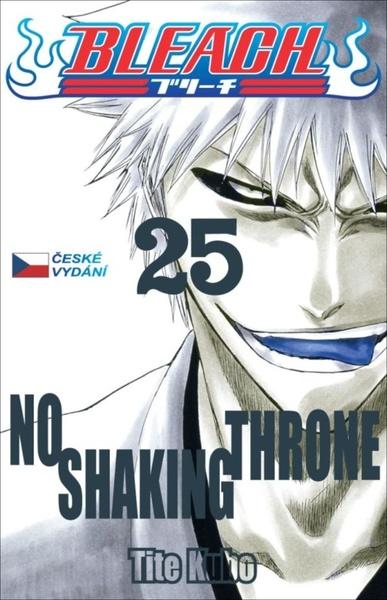 Levně Bleach 25