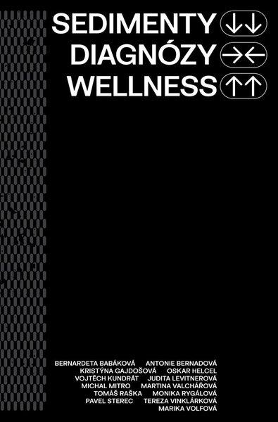 Levně Sedimenty diagnózy wellness