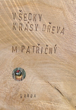 Levně Všecky krásy dřeva