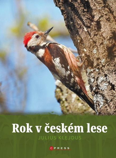 Rok v českém lese - 978-80-264-3511-2