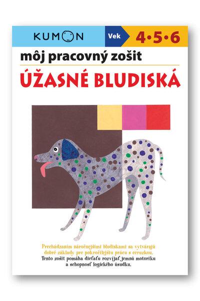 Levně Môj pracovný zošit Úžasné bludiská