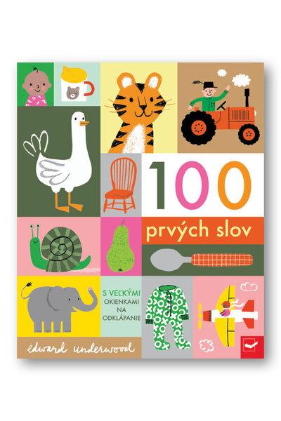 100 prvých slov - 978-80-567-0678-7