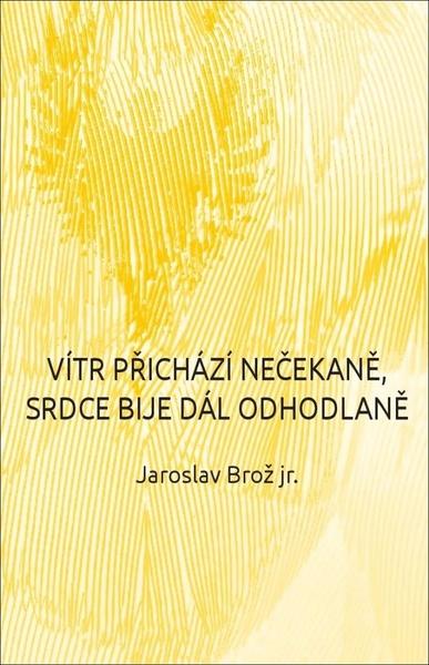 Levně Vítr přichází nečekaně, srdce bije dál odhodlaně