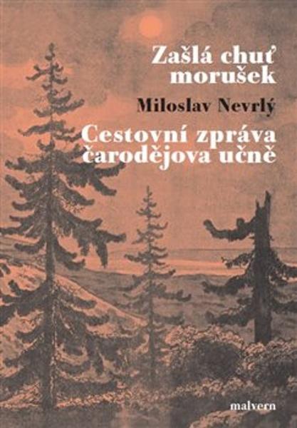 Levně Zašlá chuť morušek Cestovní zpráva čarodějova učně