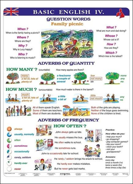 Levně Basic English IV.