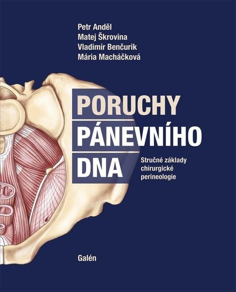 Poruchy pánevního dna - Petr Anděl - 978-80-7492-529-0