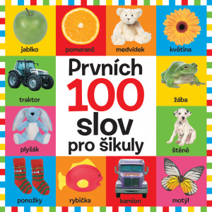Prvních 100 slov pro šikuly - 978-80-256-0151-8