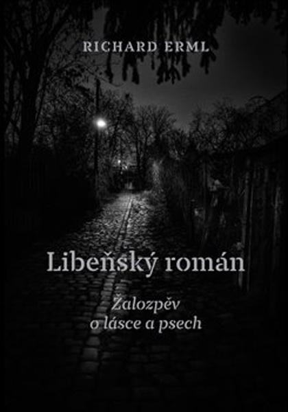 Levně Libeňský román