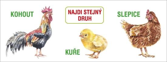 Levně Najdi stejný druh