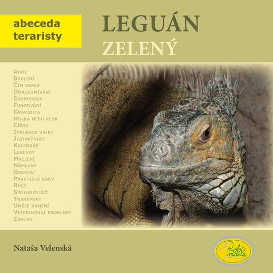 Levně Leguán zelený