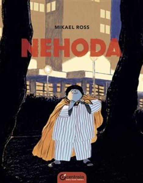 Nehoda - 9788090816008