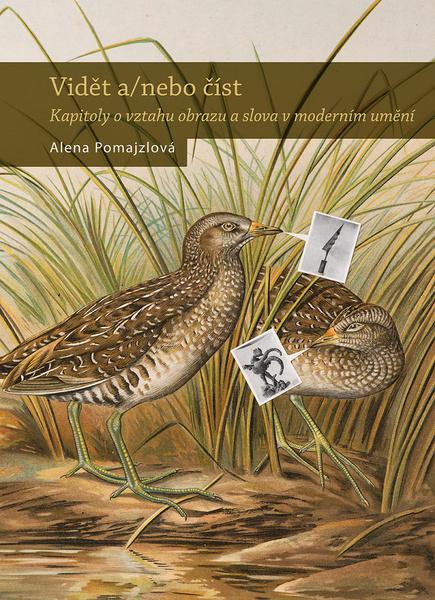 Levně Vidět a/ nebo číst