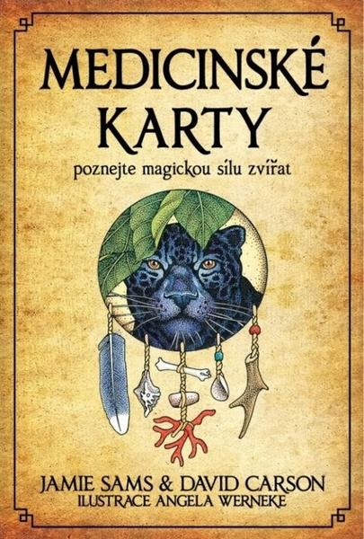 Levně Medicinské karty