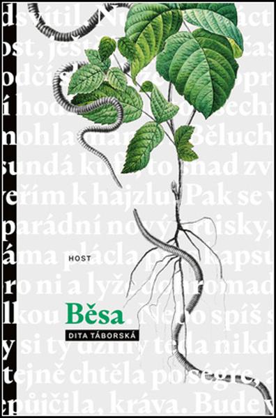Běsa - 978-80-7577-583-2