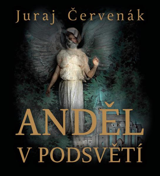 Levně Anděl v podsvětí