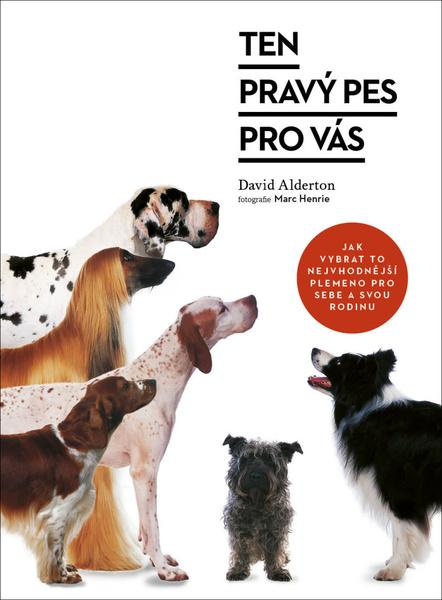 Levně Ten pravý pes pro vás